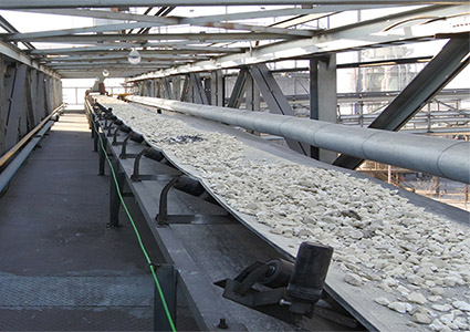 Belt Conveyor For Sale